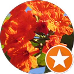 Profile photo of Jeanna M