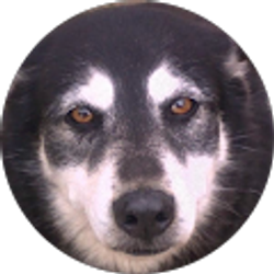 Profile photo of Ashley Payton