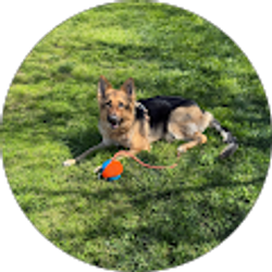 Profile photo of Mike Sark