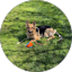 Profile photo of Mike Sark