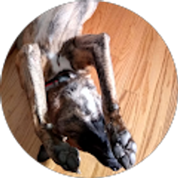 Profile photo of Noah Vreeland