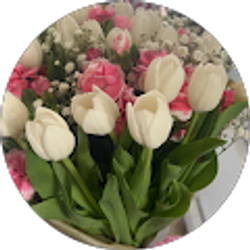 Profile photo of isabel santiago