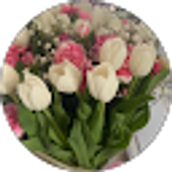 Profile photo of isabel santiago