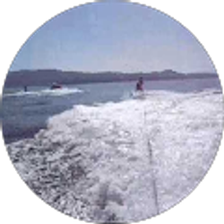 Profile photo of Xandy Su