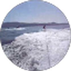 Profile photo of Xandy Su