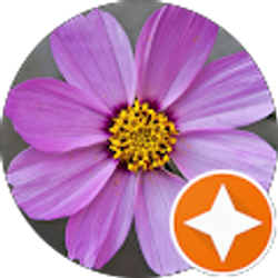 Profile photo of D T