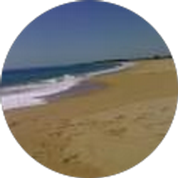 Profile photo of Sergio Fdez Guardiola