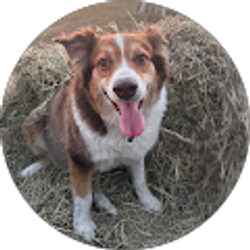 Profile photo of hailey smith