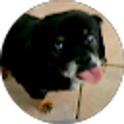 Profile photo of Chad Stansbury