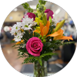 Profile photo of Carolina (Karo)