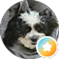 Profile photo of David R