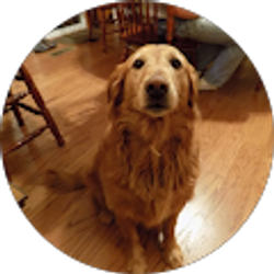 Profile photo of Levi Field