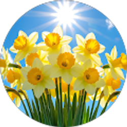 Profile photo of Vicki