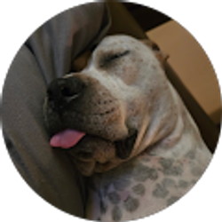 Profile photo of Monica Almroth