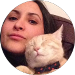 Profile photo of Michkett Hendaoui