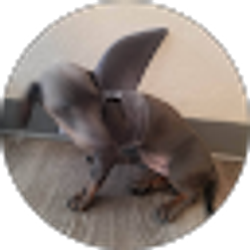 Profile photo of Christal Fresquez