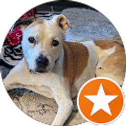 Profile photo of Vonnie Stone