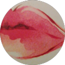 Profile photo of Arnulfo Gutierrez