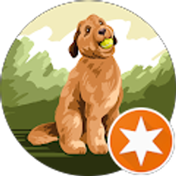 Profile photo of Ron Wedel