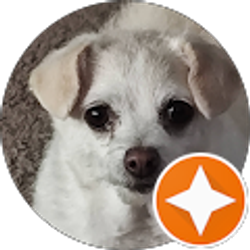 Profile photo of Glenn Arnold