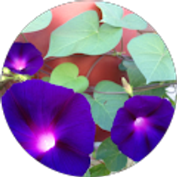 Profile photo of Thuraya Anastas Cable