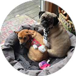 Profile photo of Sue Figleryuuu