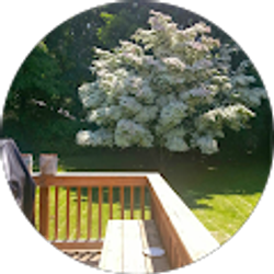 Profile photo of joe k