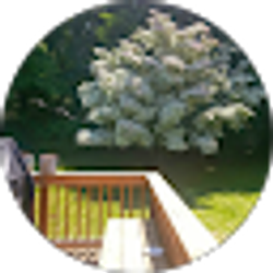 Profile photo of joe k