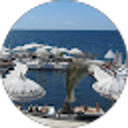 Profile photo of Guy Harper