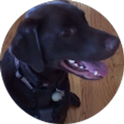 Profile photo of Ethan Henson
