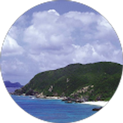 Profile photo of Trinidad Rios