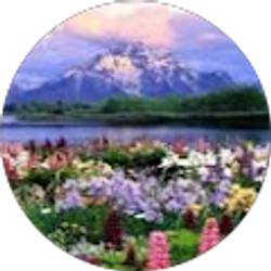 Profile photo of sabrina Erdman