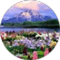 Profile photo of sabrina Erdman