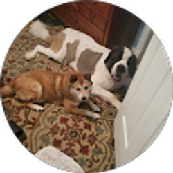 Profile photo of Robert Bowman