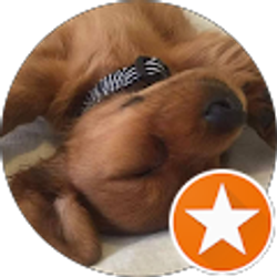 Profile photo of Anna Jones