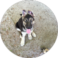 Profile photo of Maggie Wentworth