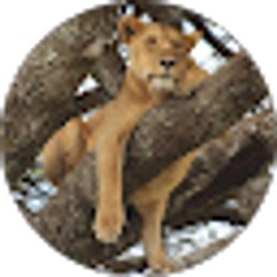 Profile photo of Sam Van Til