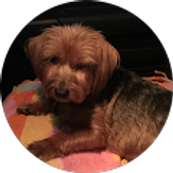 Profile photo of JOSE GONZALEZ