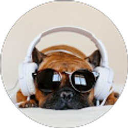 Profile photo of Sarah