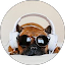 Profile photo of Sarah