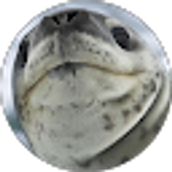 Profile photo of Oderfla Olrem