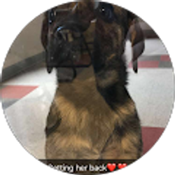 Profile photo of Jess