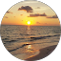 Profile photo of M E