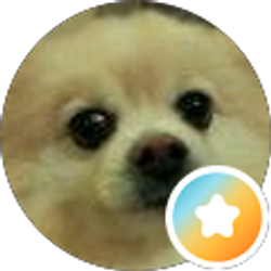 Profile photo of Mingming Xu
