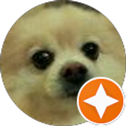 Profile photo of Mingming Xu