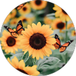 Profile photo of Yvette Garcia