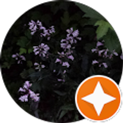 Profile photo of E S