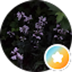 Profile photo of E S