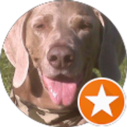 Profile photo of Michelle Perry