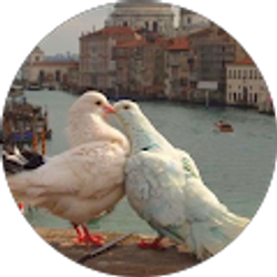 Profile photo of Nariah Smith